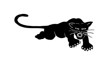 Black Panthers flag white variant